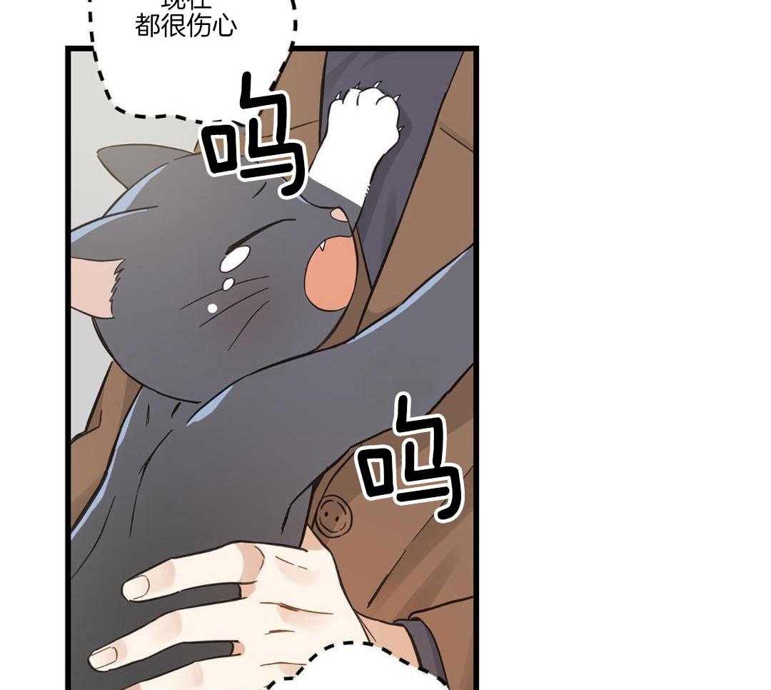 我的猫（共2季）第86话图