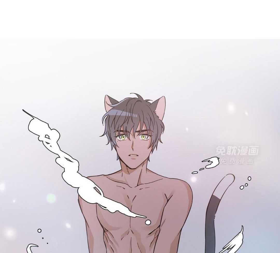 我的猫（共2季）第92话图
