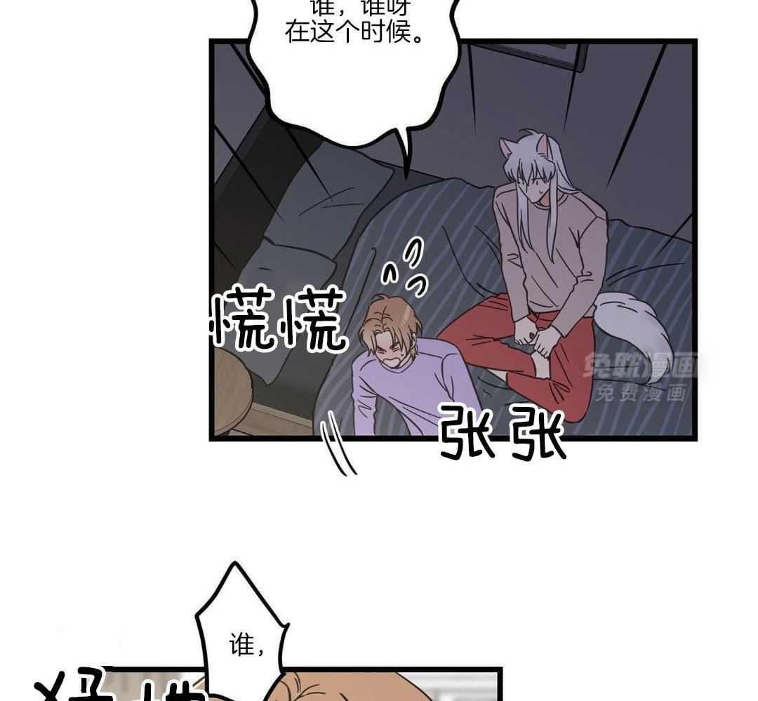 我的猫（共2季）第93话图