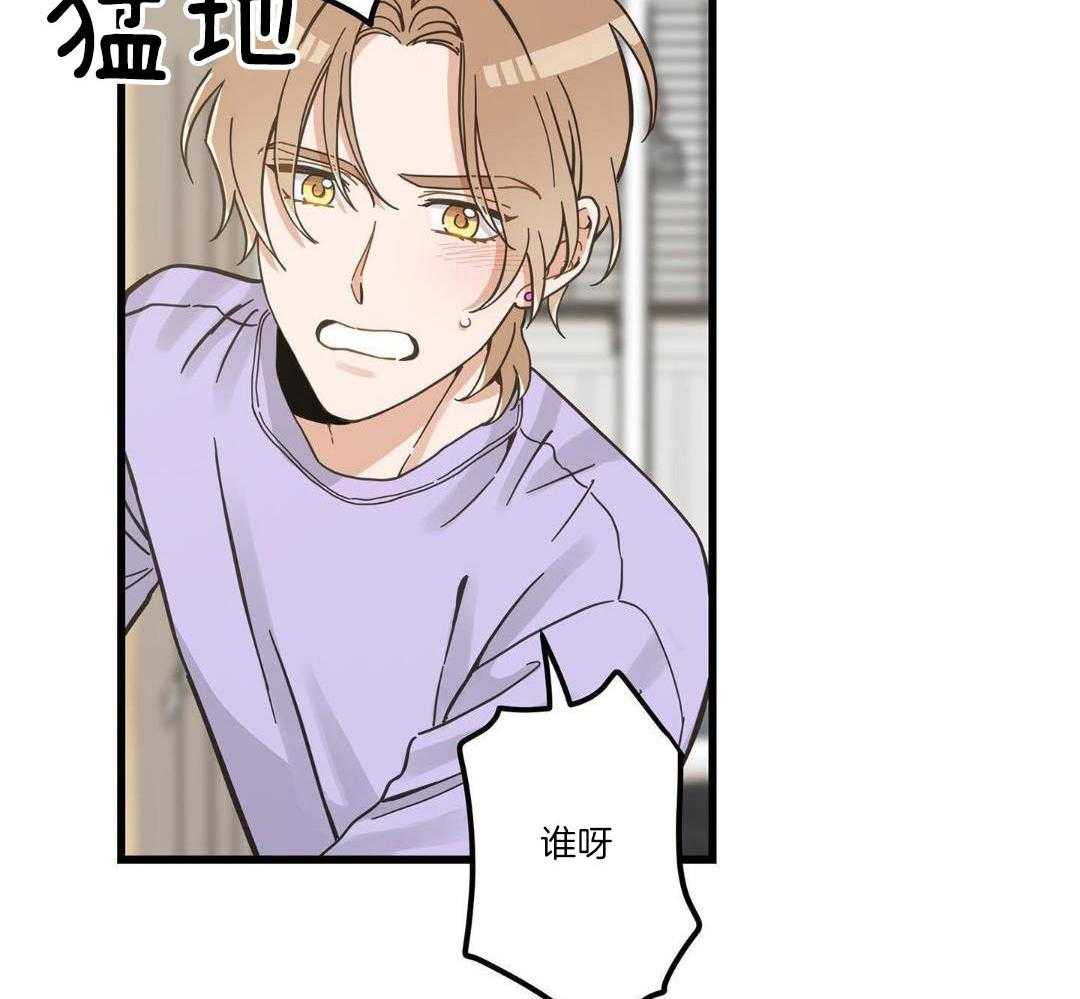 我的猫（共2季）第93话图