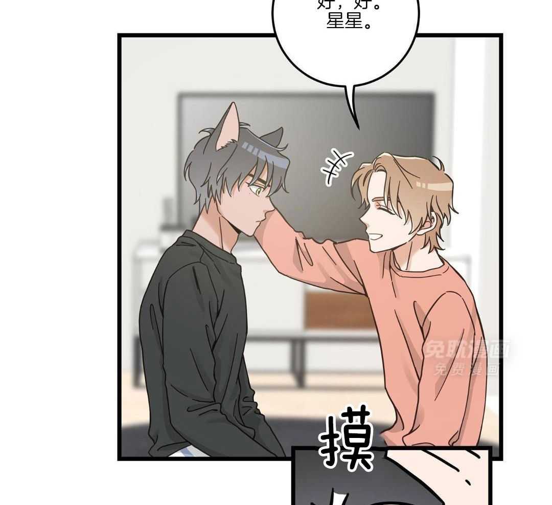 我的猫（共2季）第94话图