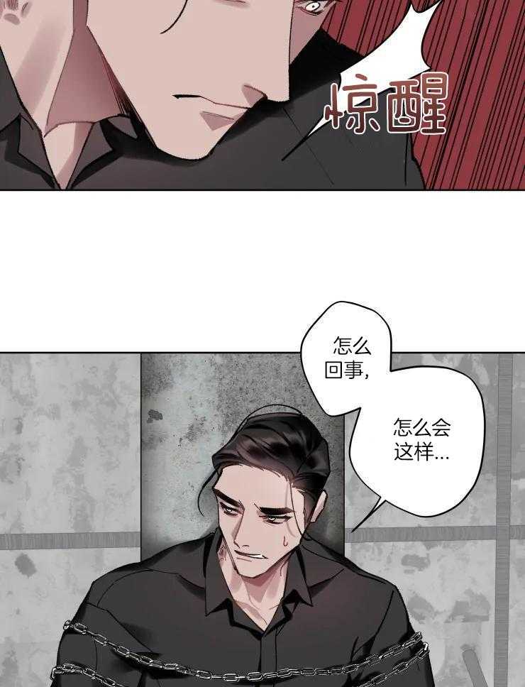 我和反派纯属意外漫画-图24