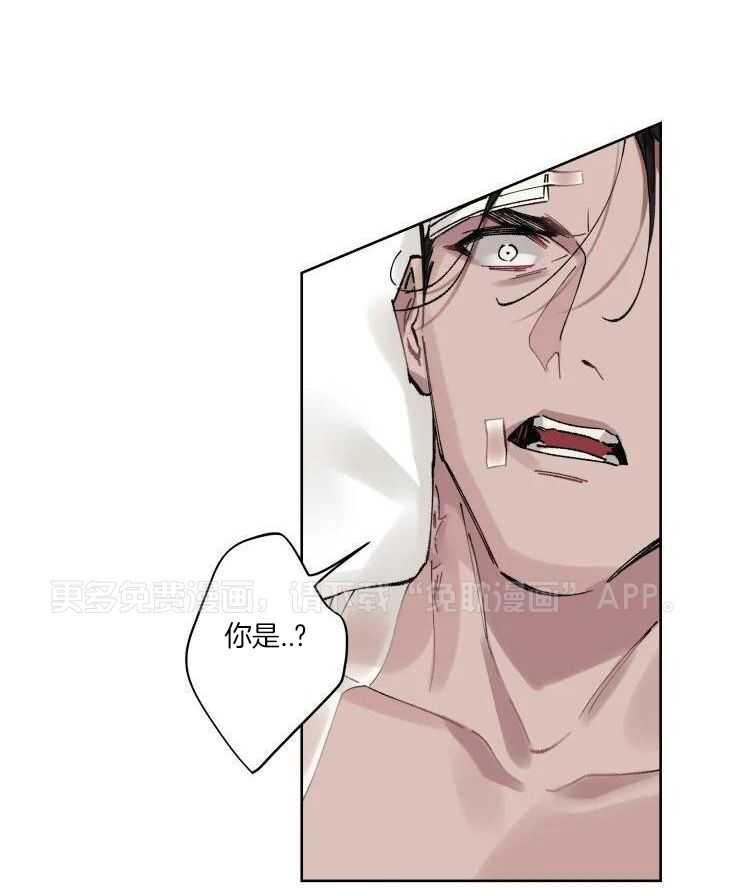 我和反派纯属意外第5话图