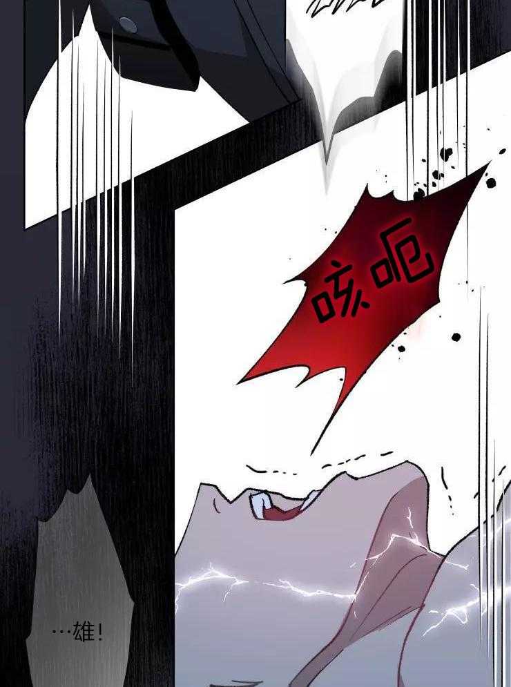 我和反派纯属意外第63话图