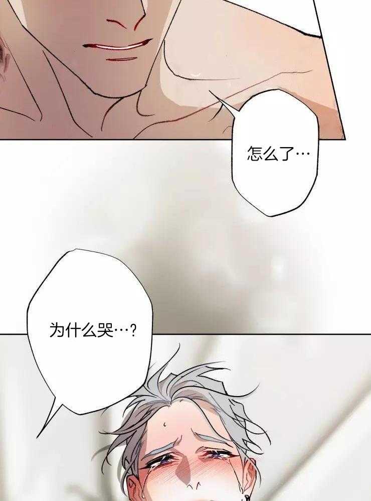 我和反派纯属意外第64话图