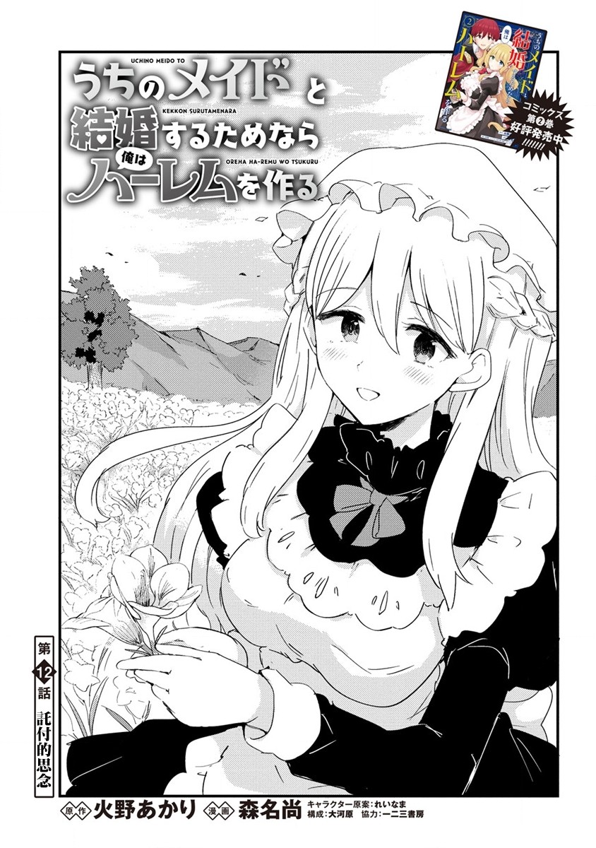 为了跟我家女仆结婚而开后宫12话图