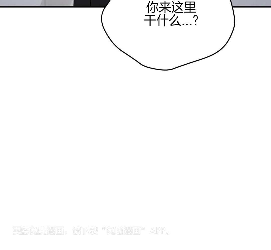 乌龙般的单恋史第46话图