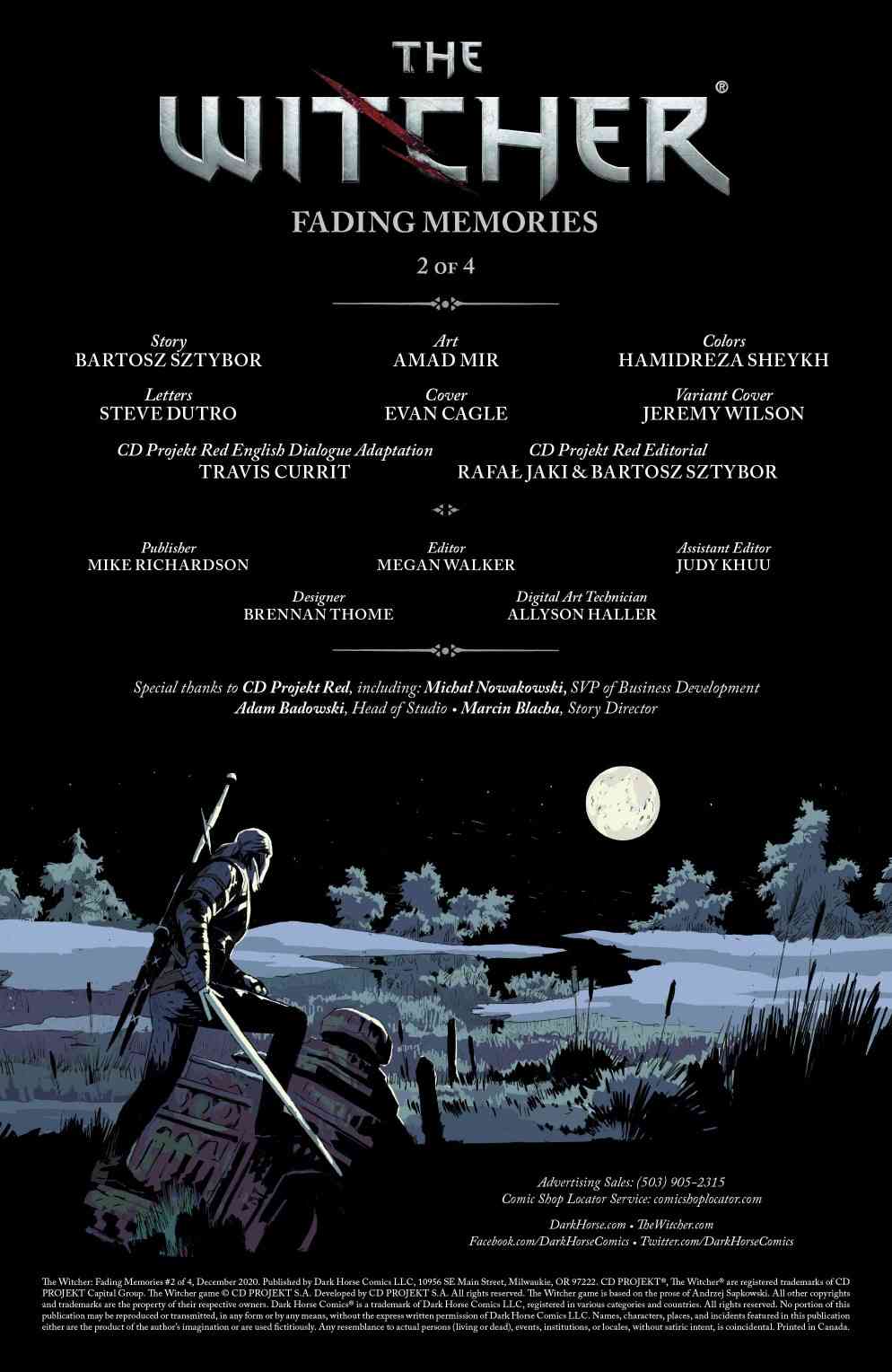 巫师：消逝记忆2卷图