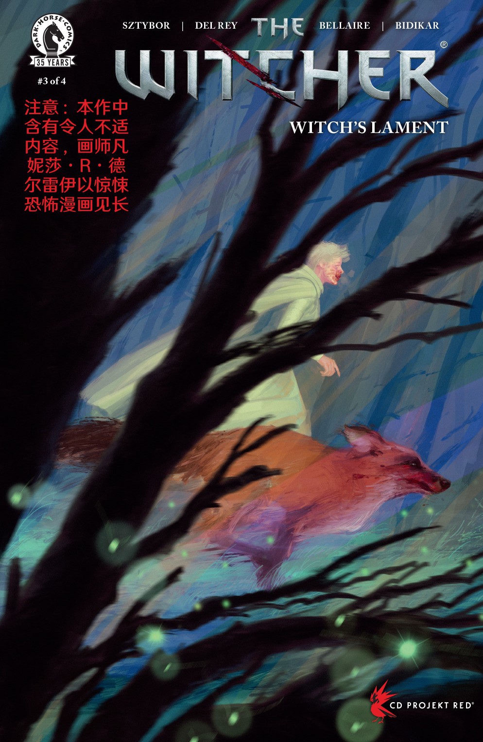 巫师：消逝记忆7卷图