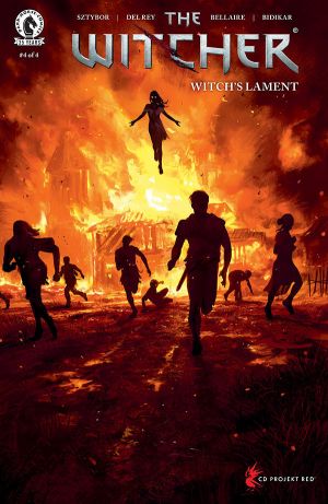 巫师：消逝记忆8卷图