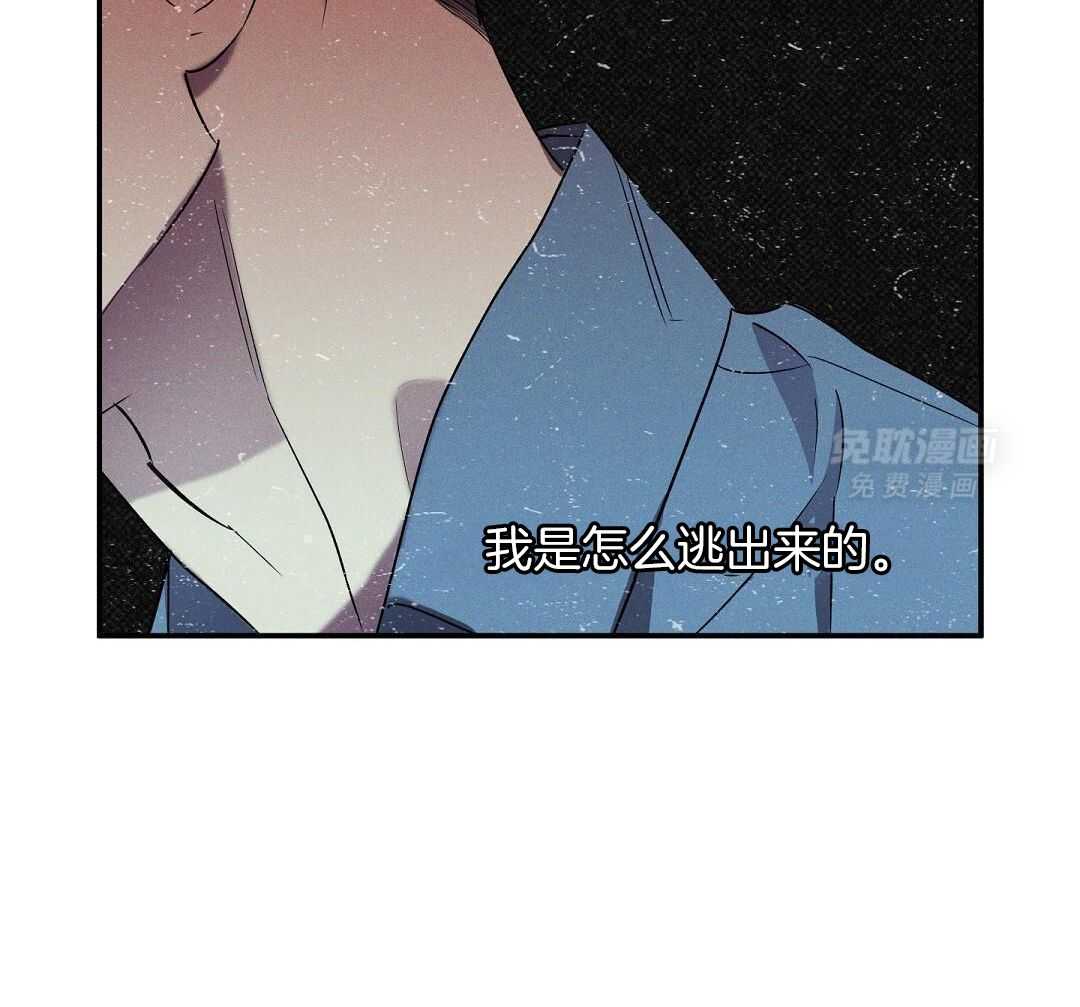 无独有偶第40话图