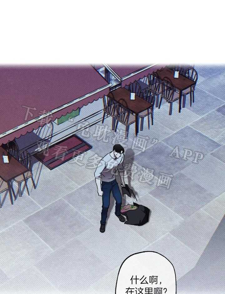 无独有偶第6话图