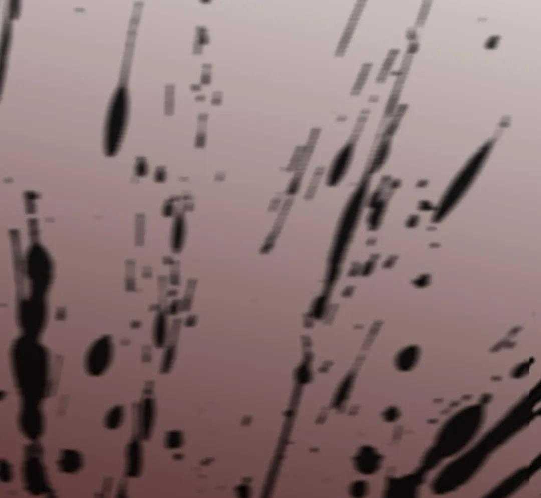 忘年之恋第24话图