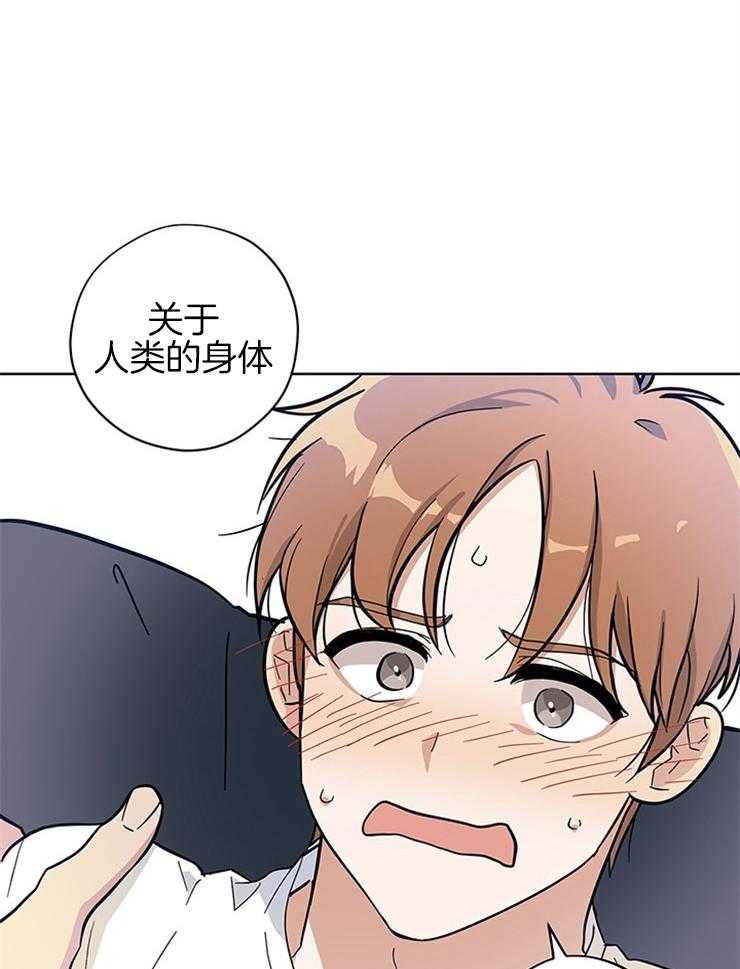 外星王子的心动第11话图