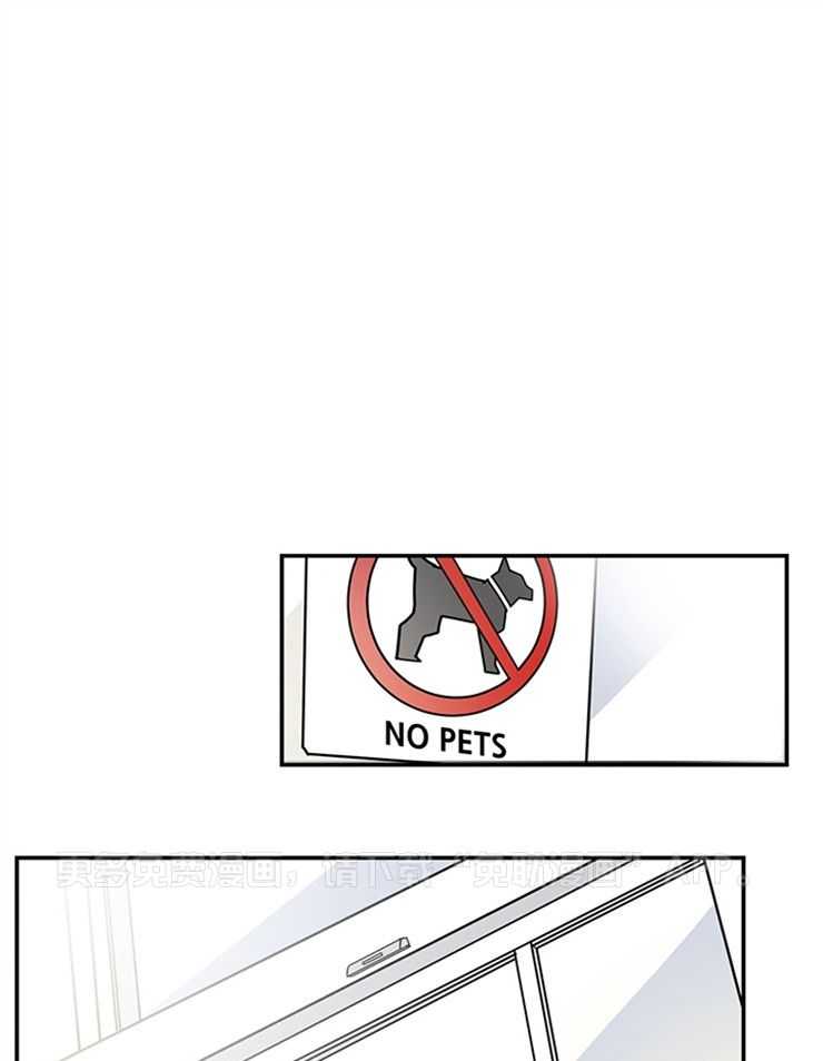 外星王子的心动第4话图