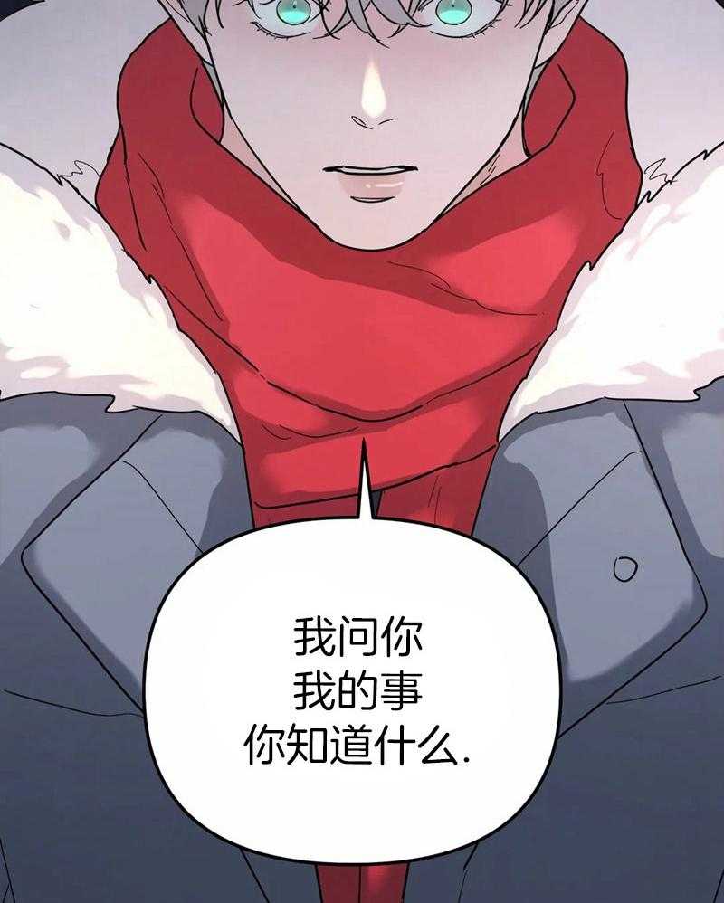 无根之树第17话图