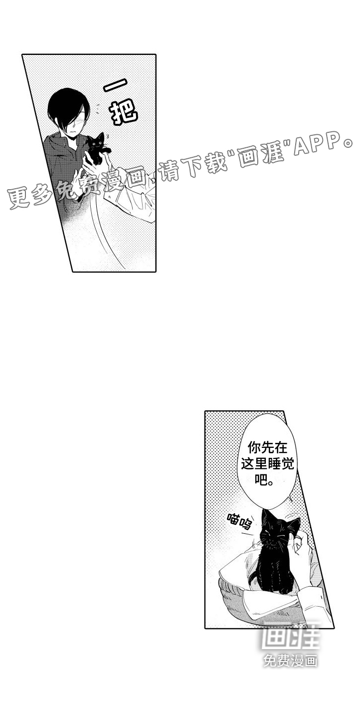 我的北极星第8话图