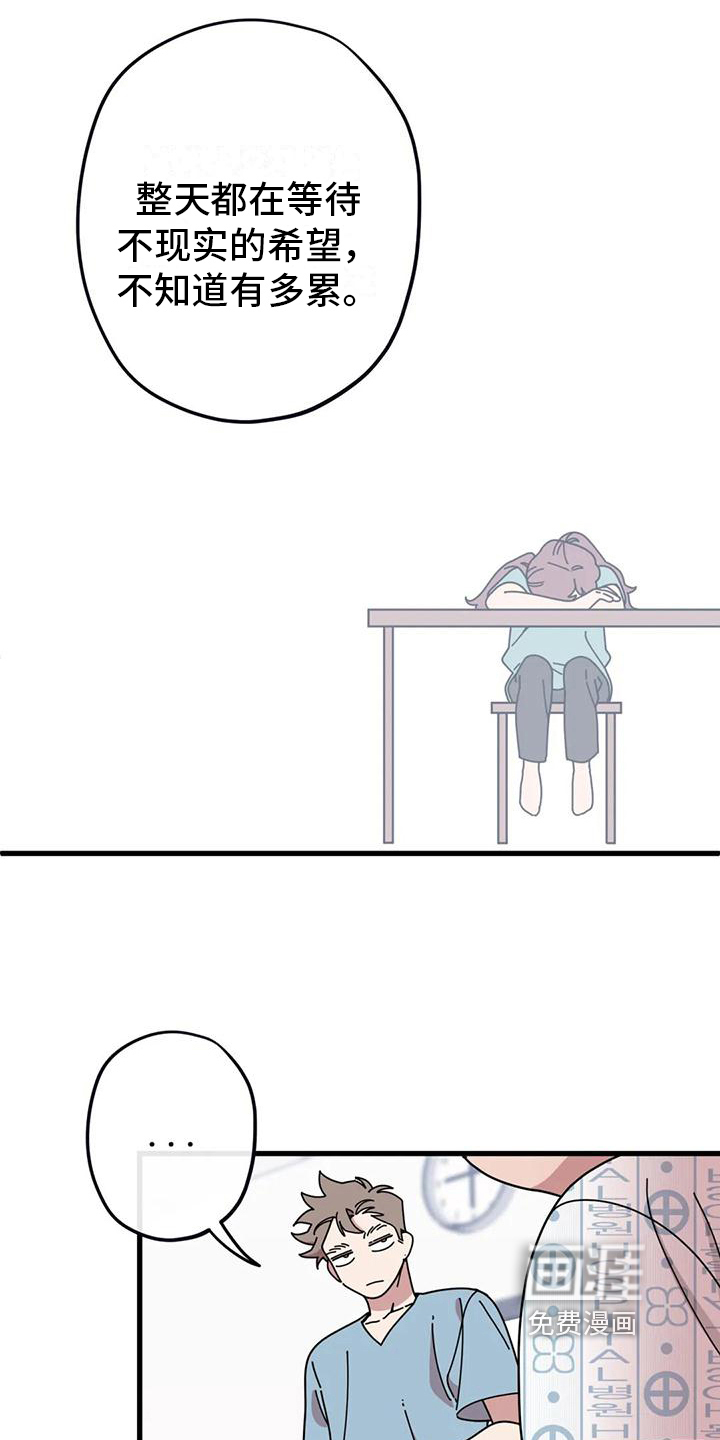 温馨小熊第12话图