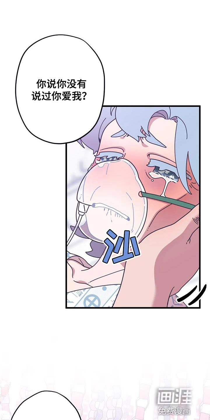 温馨小熊第23话图