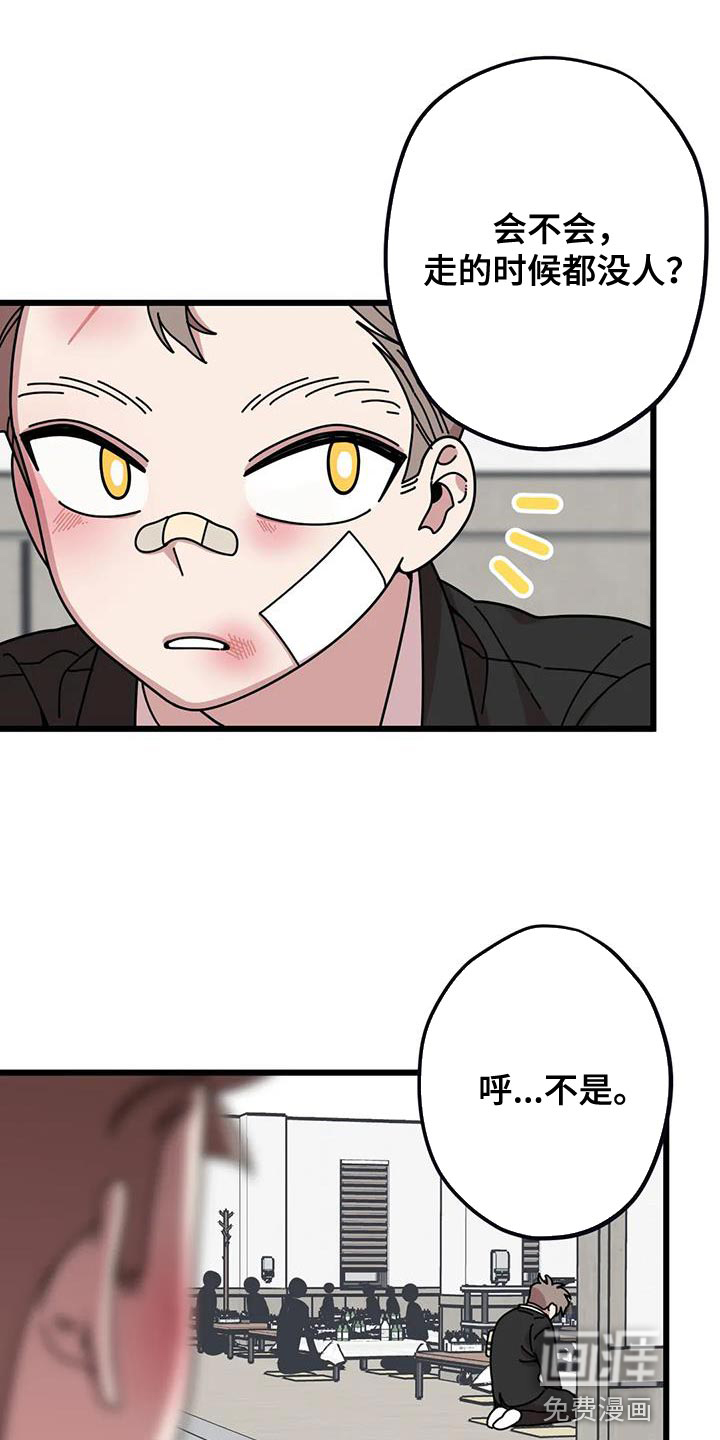 温馨小熊第31话图