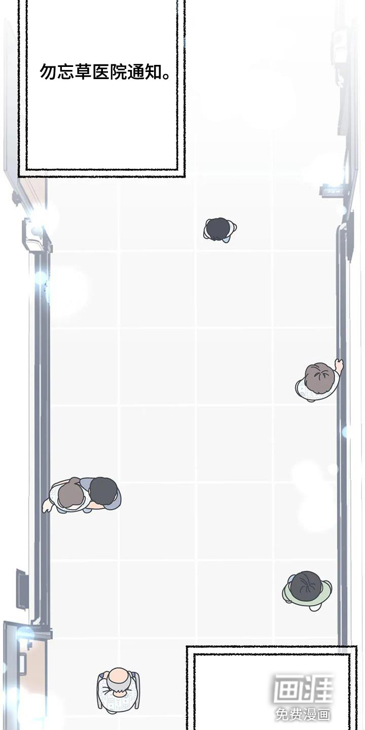 温馨小熊第41话图