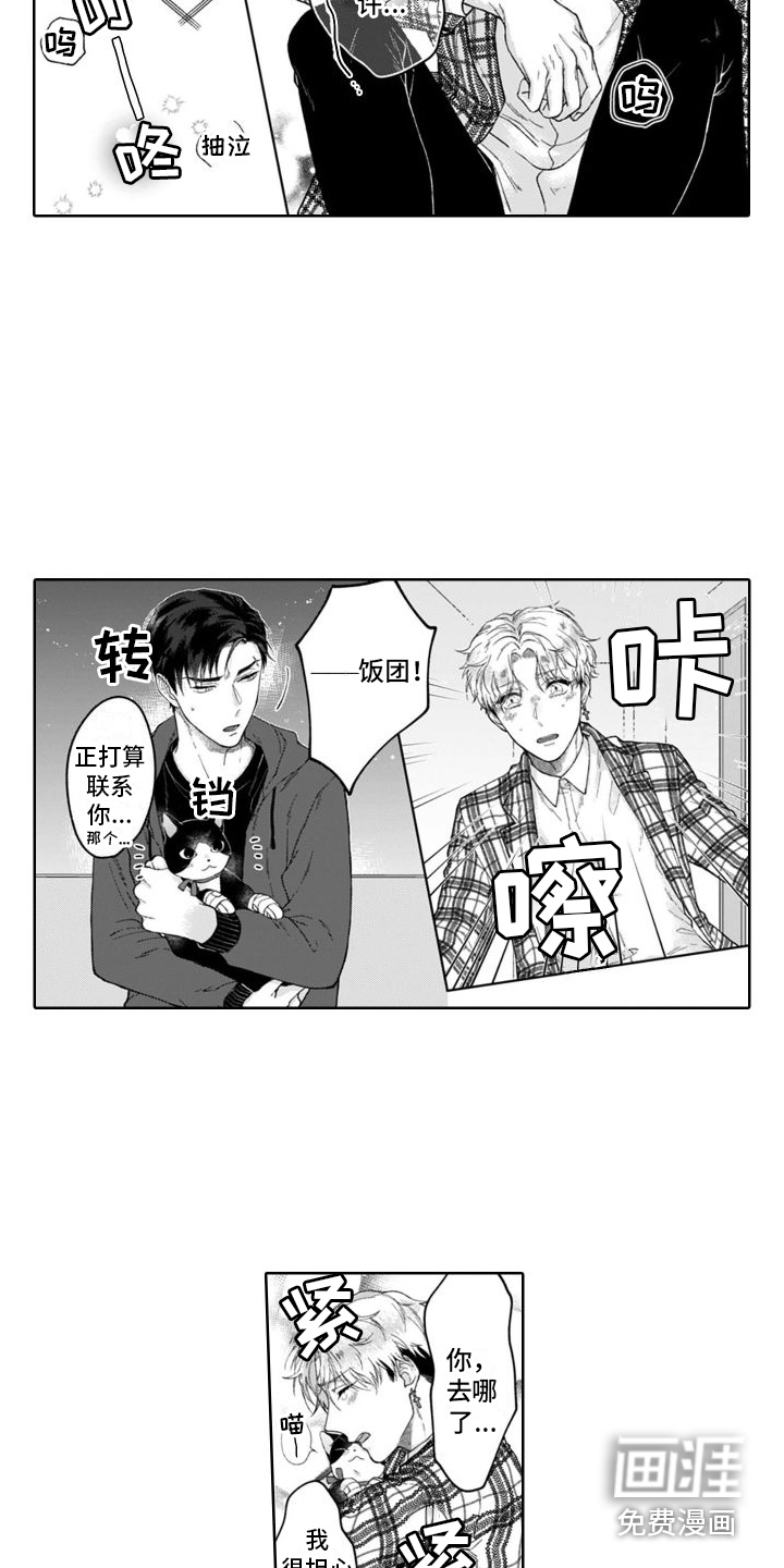 我的依靠第13话图