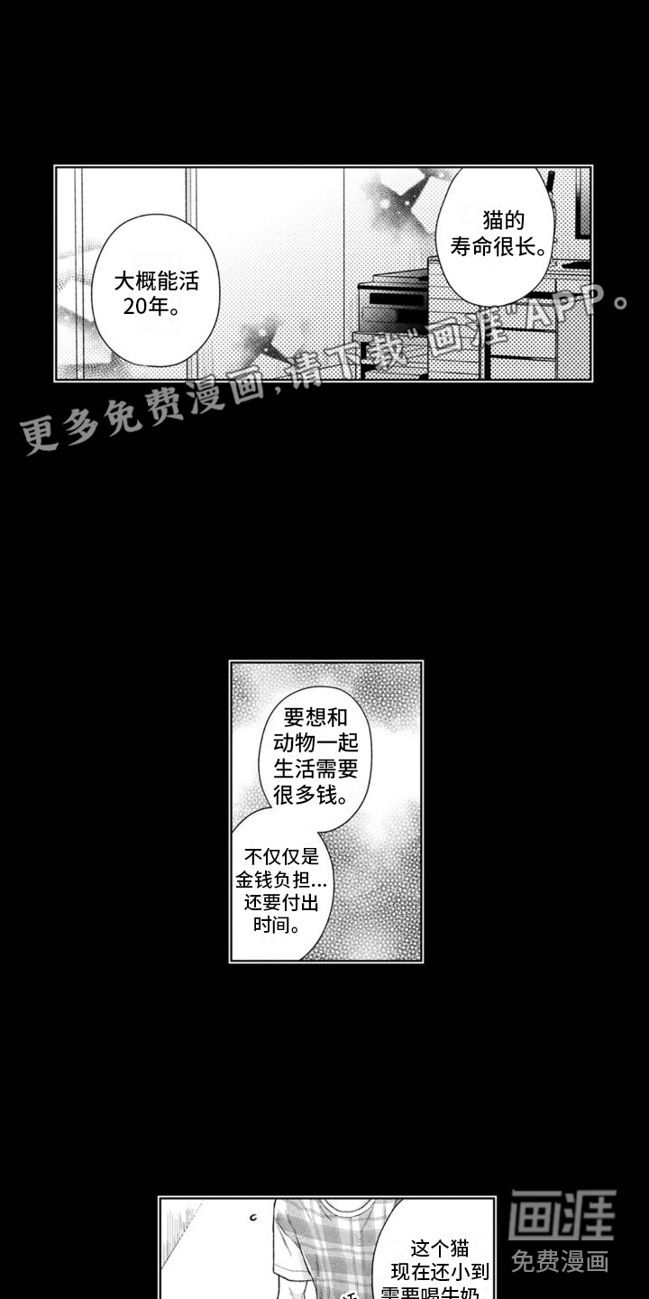 我的依靠第40话图