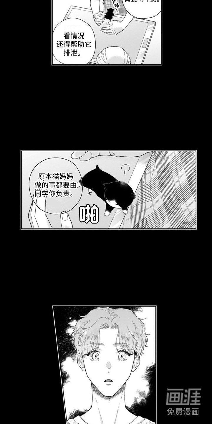 我的依靠第40话图