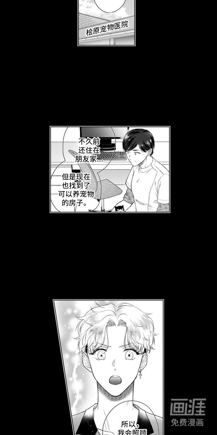 我的依靠第40话图