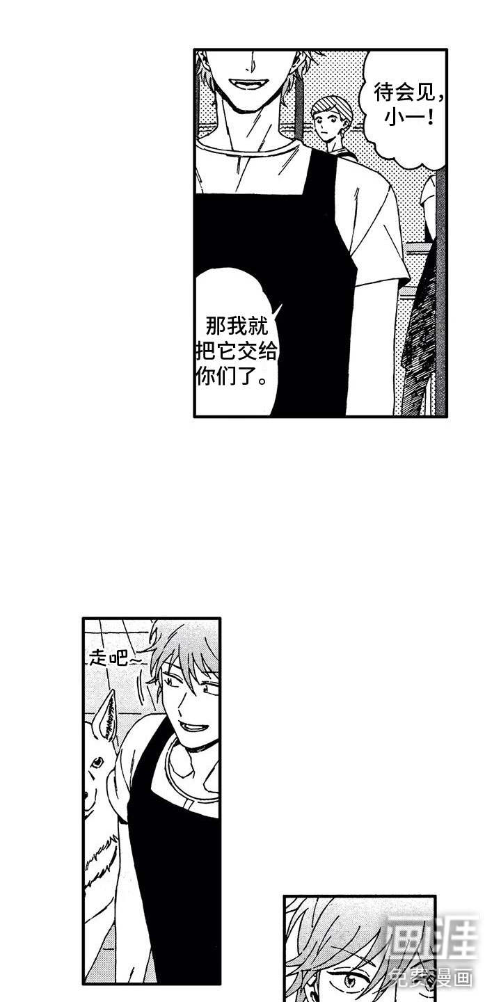 我的小狗第16话图