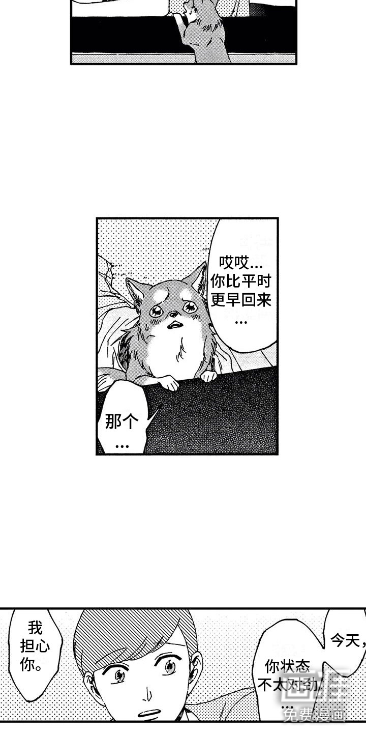我的小狗第19话图