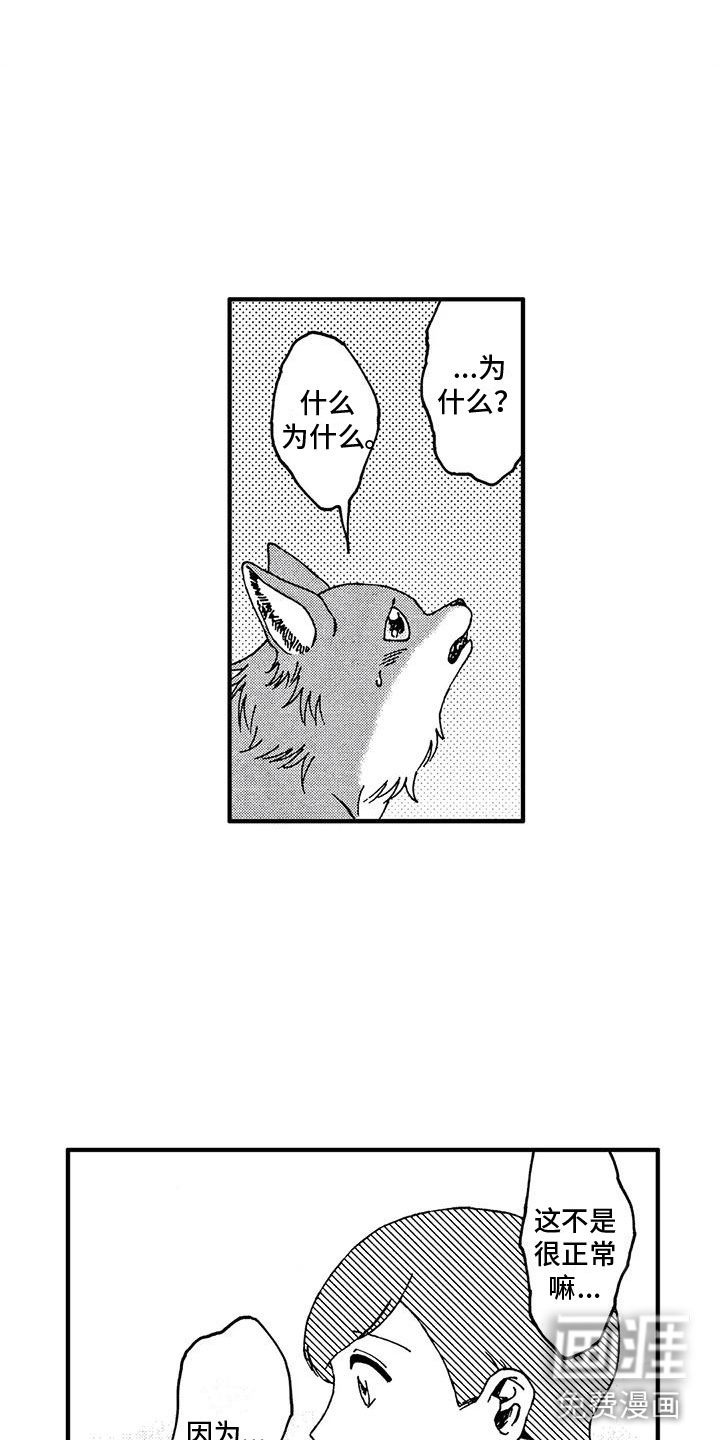 我的小狗第19话图