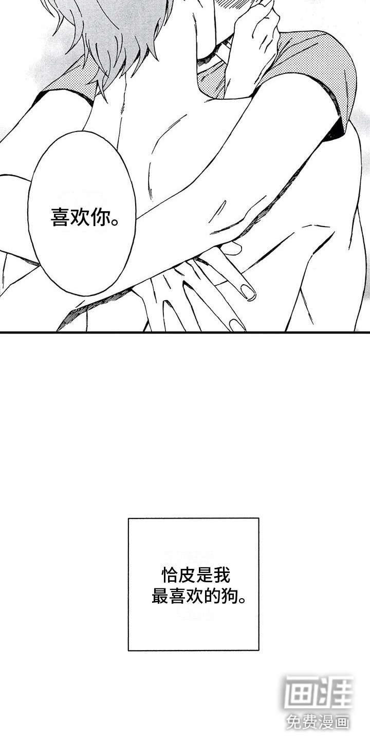 我的小狗第20话图