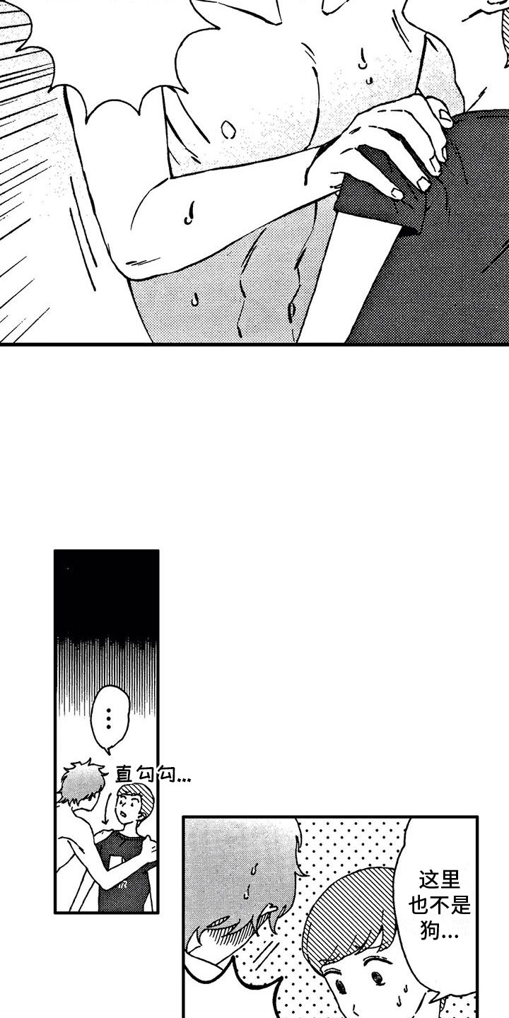我的小狗第3话图