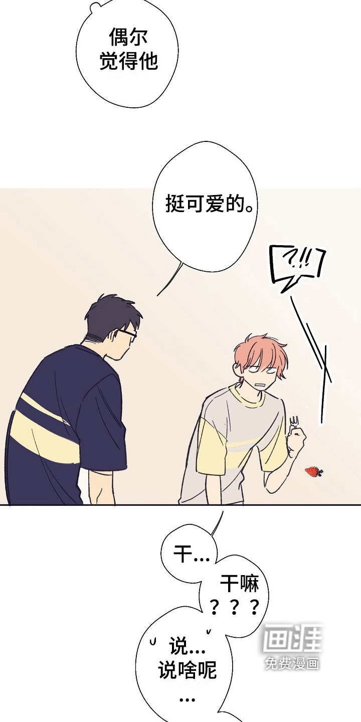 我家的小生物第10话图