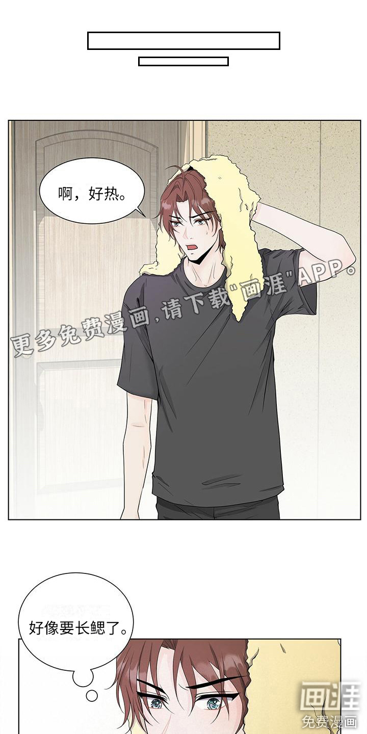 无偿的爱第15话图