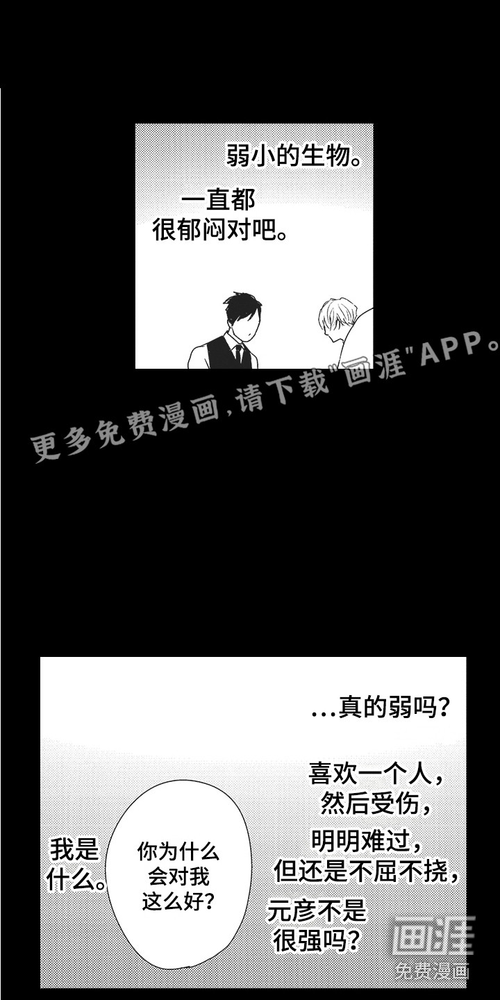 我哭不出来第20话图