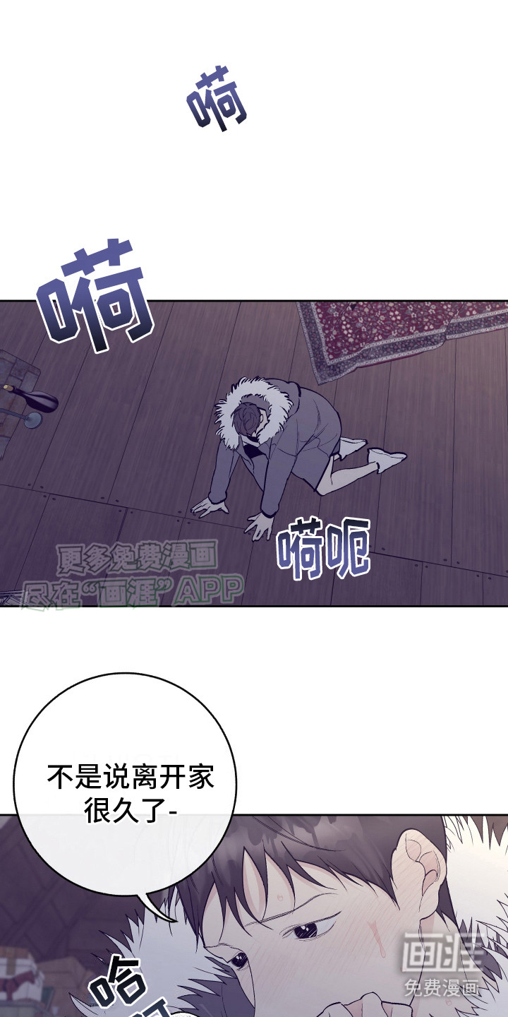 五开门与小老鼠第6话图