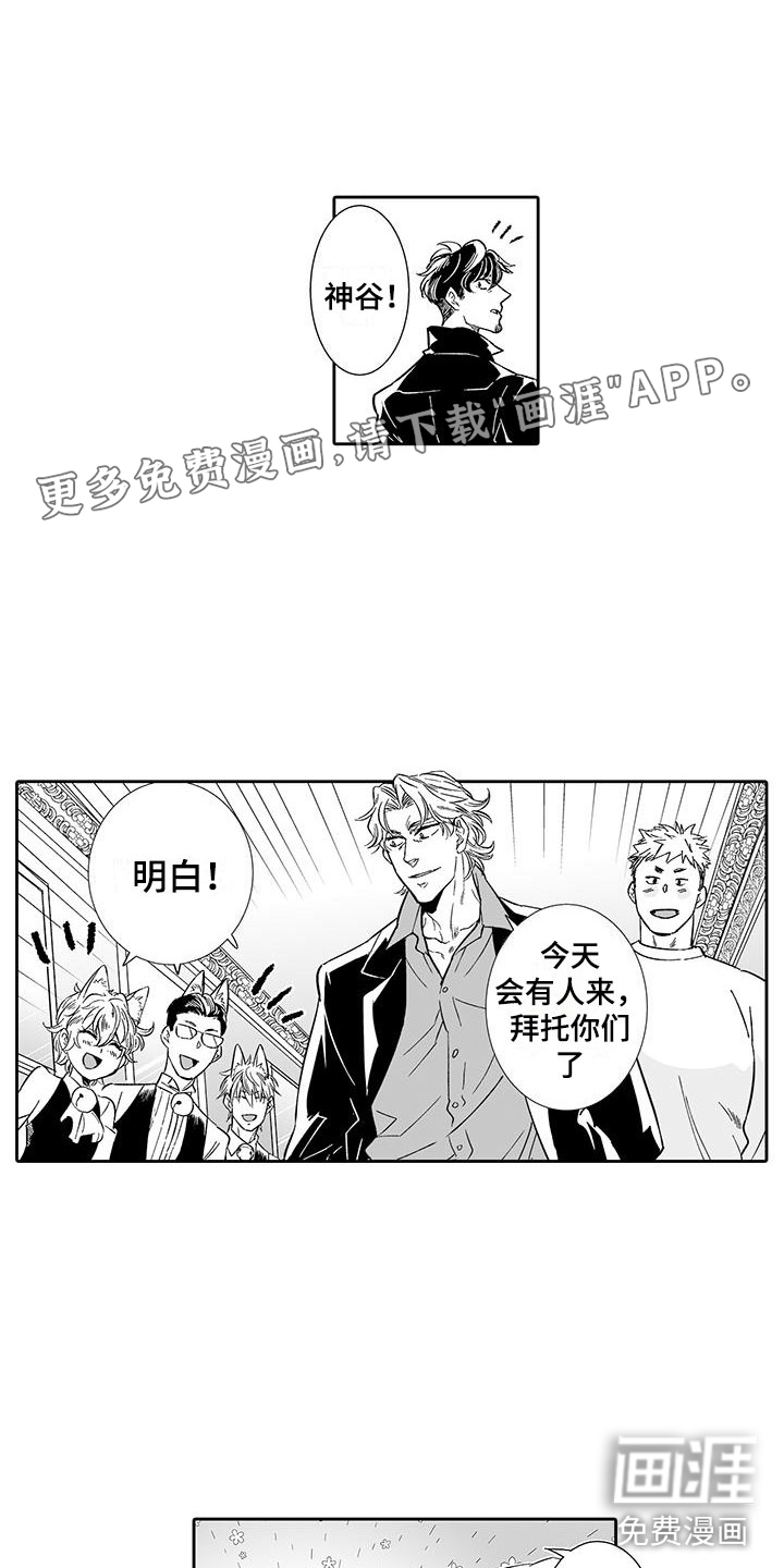 我的小奶猫第13话图