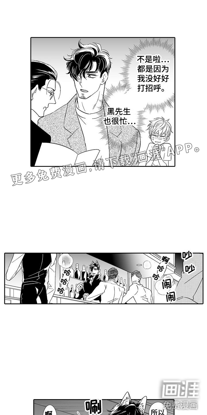 我的小奶猫第16话图