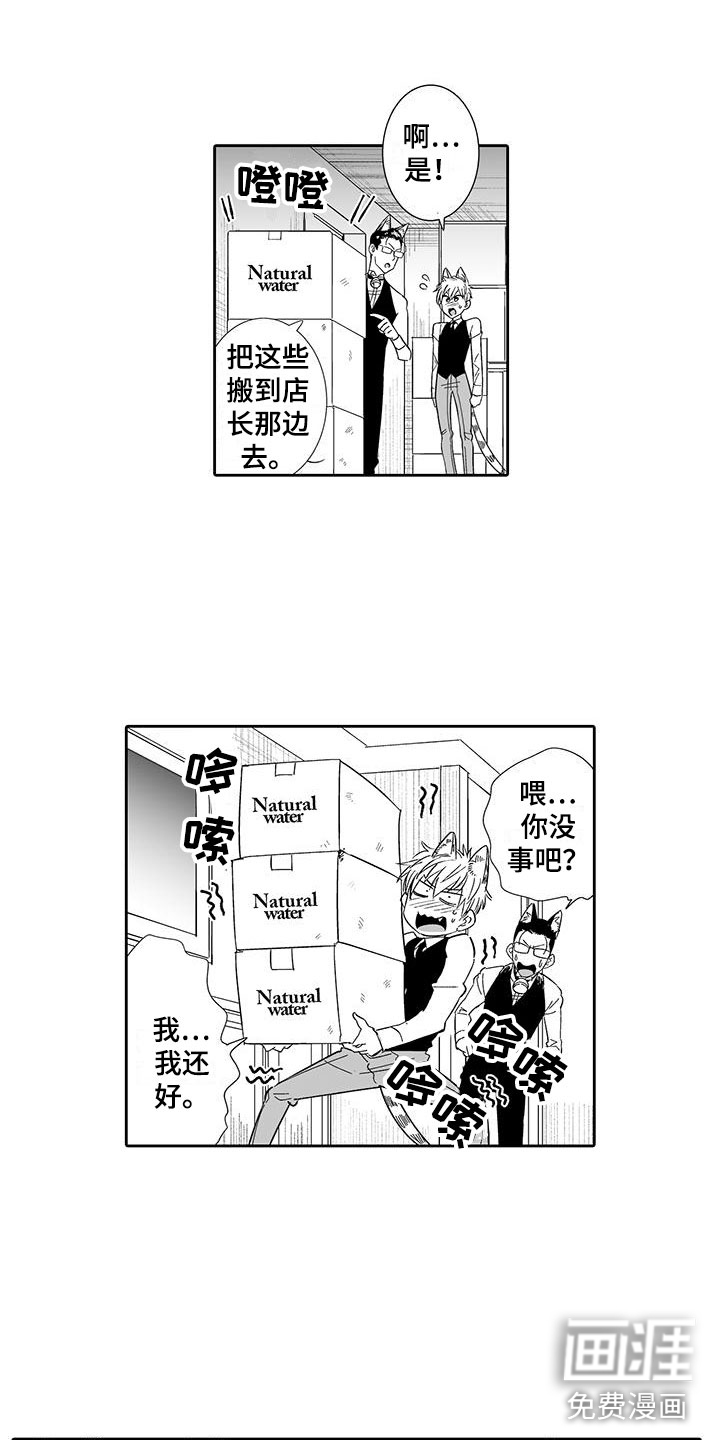 我的小奶猫第16话图