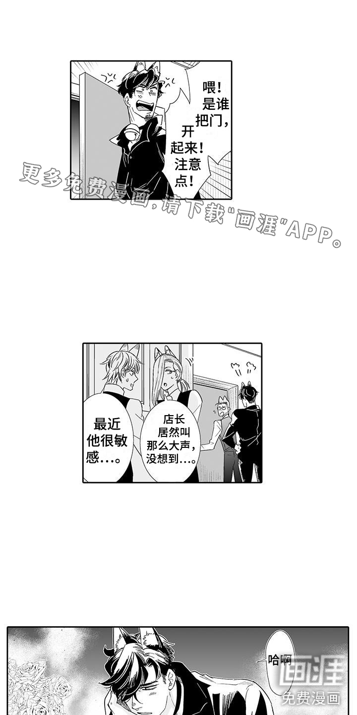 我的小奶猫第18话图