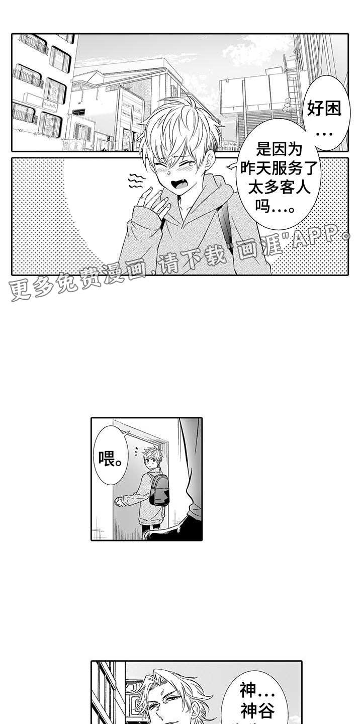 我的小奶猫第19话图