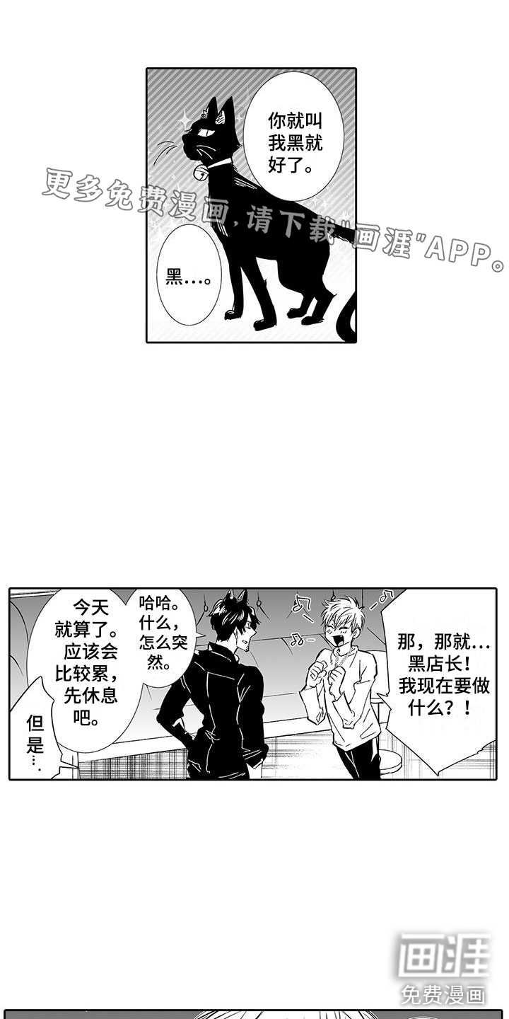 我的小奶猫第5话图