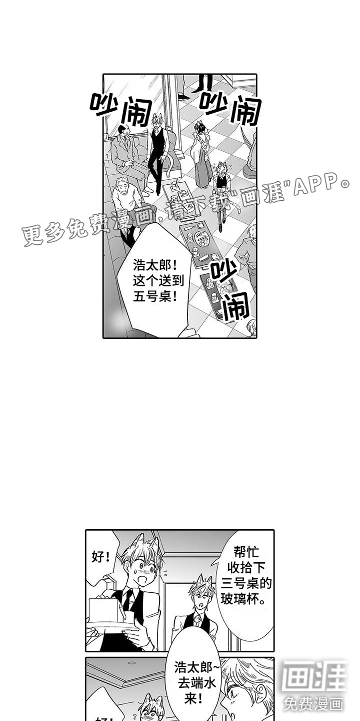 我的小奶猫第7话图