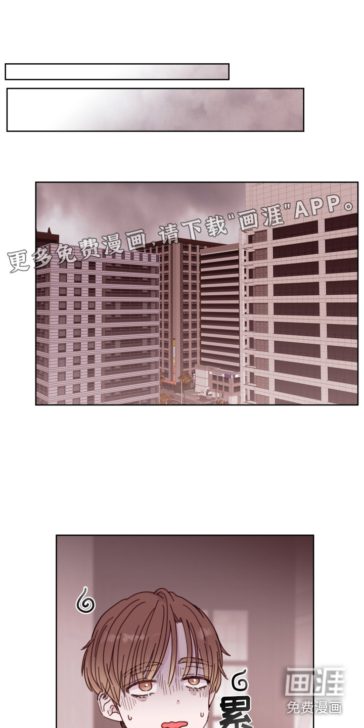 危险小舅子第13话图