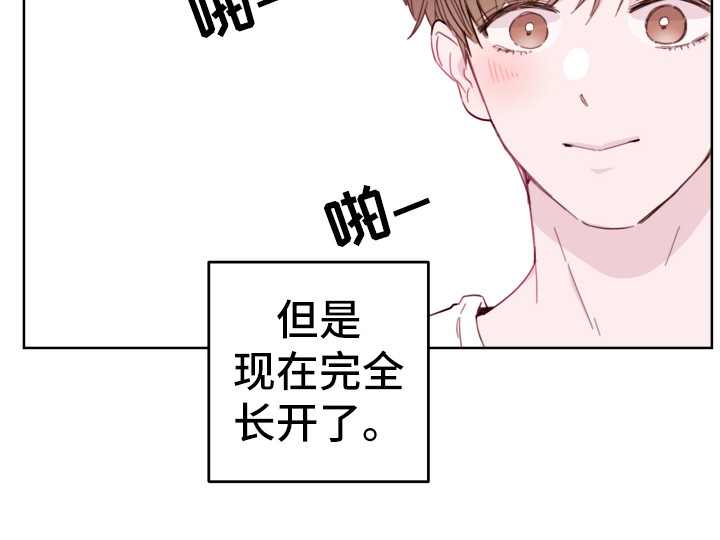 危险小舅子第2话图