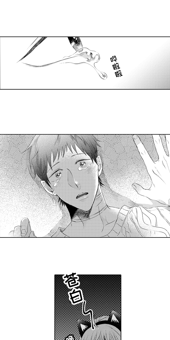 我会喵喵叫第26话图