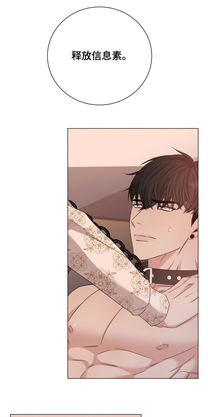 唯你独闻第14话图