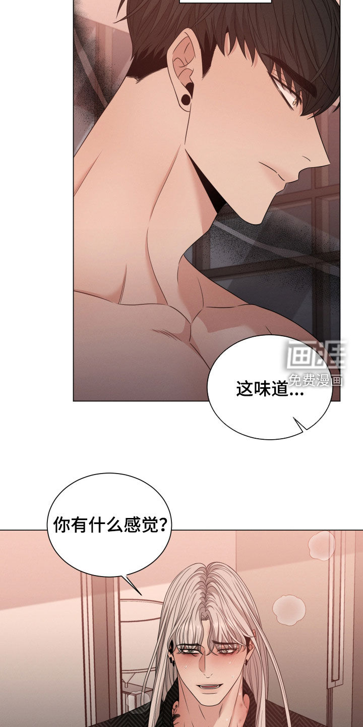 唯你独闻第45话图